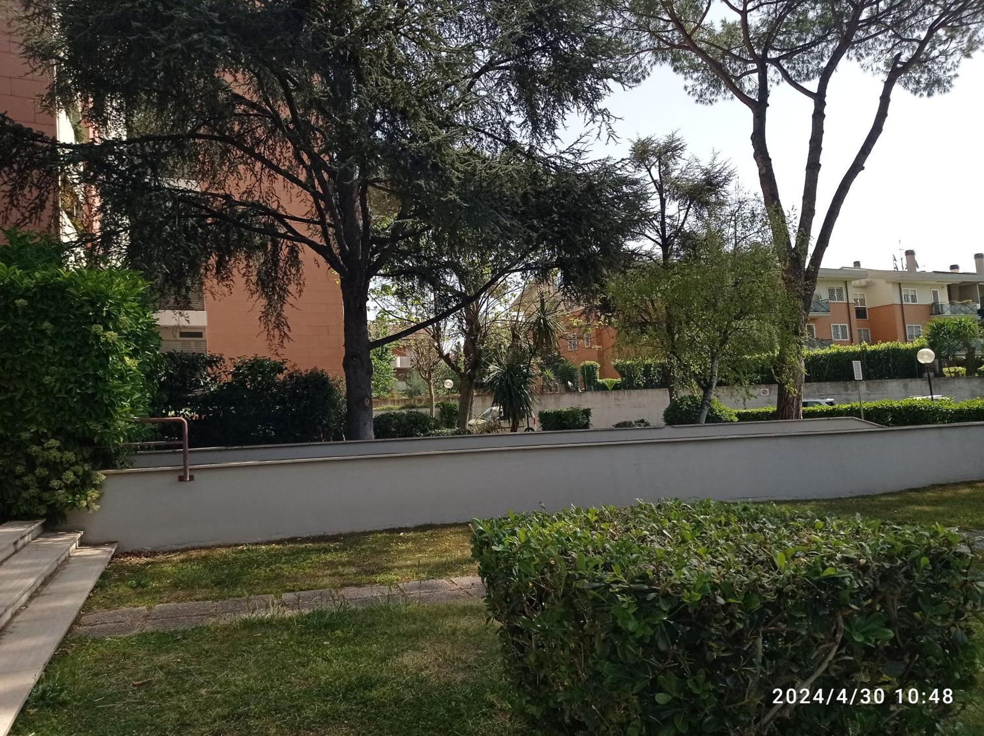 Appartamento Per Uso Turistico Falcocchio Massimo
