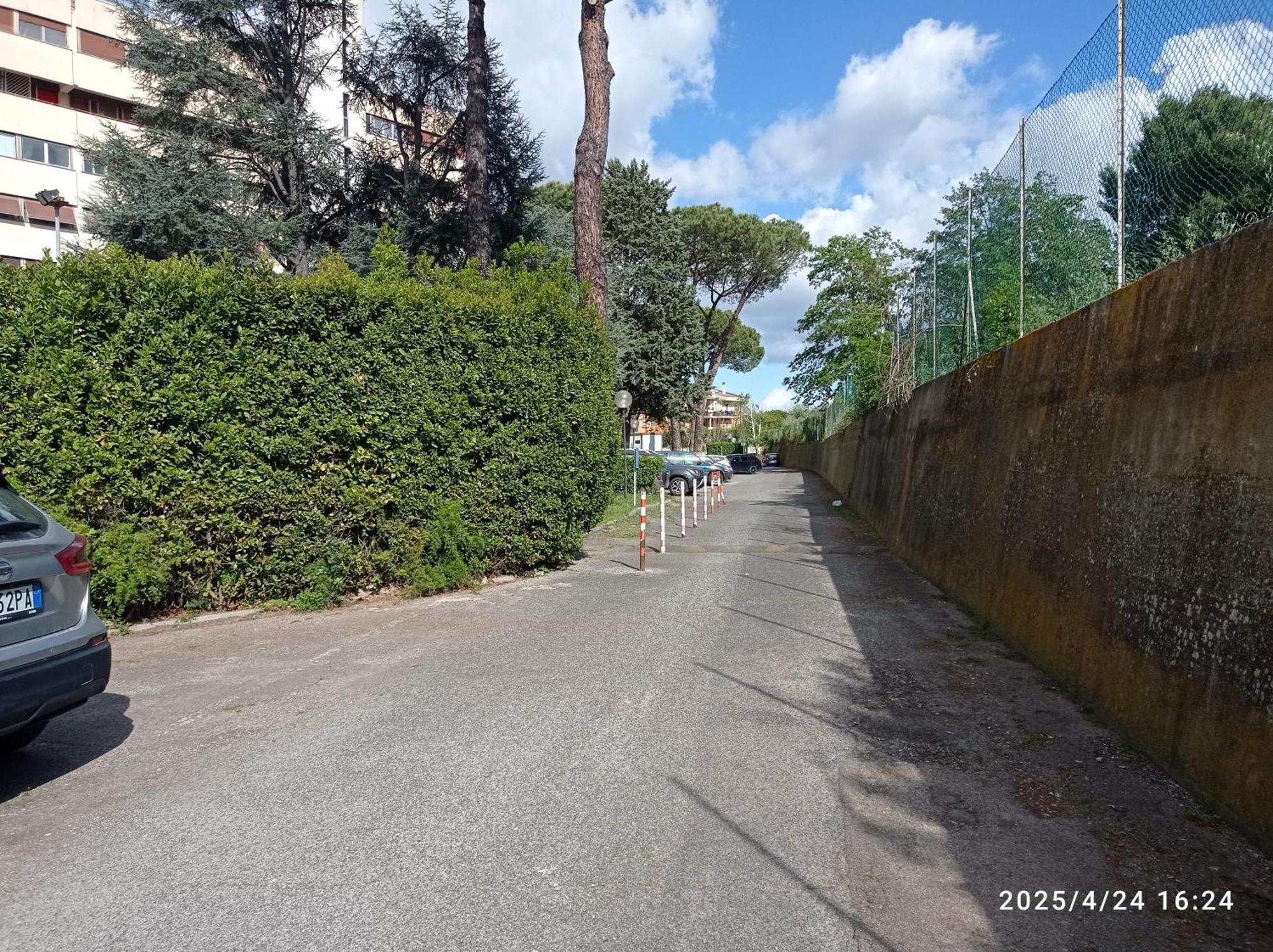 Per Uso Turistico Falcocchio Massimo *